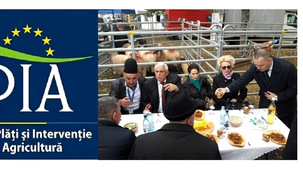 Cine conduce din umbră APIA