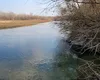 Poluare pe un important râu din România. Autorităţile, în alertă după ce au fost descoperiţi peşti morţi (FOTO)