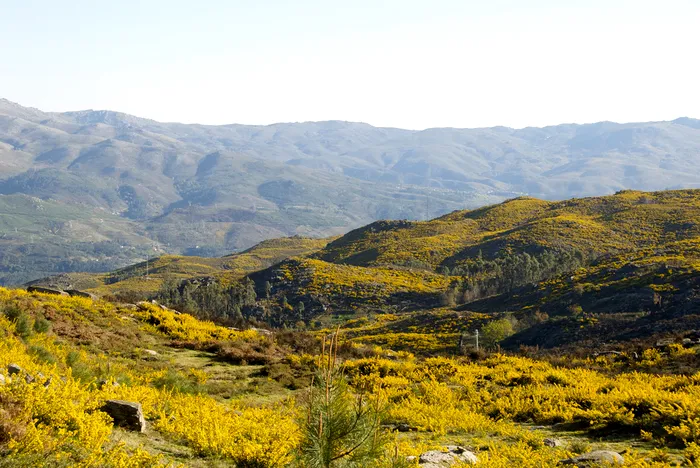 Peneda-Gerês National Park - Wikipedia