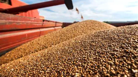 România, cel mai mare exportator de cereale din UE în primele săptămâni ale sezonului 2024/25