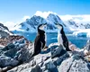 Lumea ascunsă de sub gheață: 332 de canioane gigantice descoperite în adâncurile Antarcticii