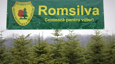 Pădurile de la Romsilva, pas cu cu pas, către ...Austria