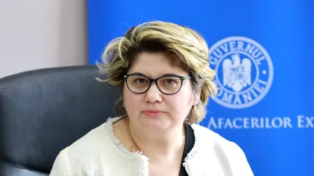 Secretarul de stat pentru afaceri europene Iulia Matei, consultări cu Faruk Kaymakci, ministru adjunct al Republicii Turcia
