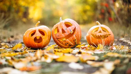 Efectul Halloween pe pieţele financiare. Scăderea acţiunilor în octombrie - superstiţie sau teorie?
