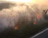 Apel ISU:„Nu mai incendiați terenurile!” 140 de incendii în 24 de ore!