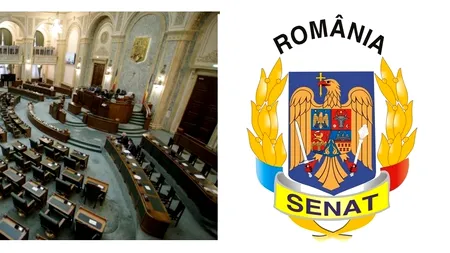 Senatul a votat Biroul permanent; componenţă neschimbată faţă de sesiunea anterioară