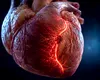 Inima își construiește singură drumuri de salvare. Planul secret care pornește după infarct