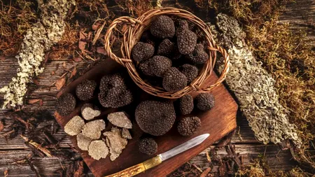 Un oraș european a primit titlul de capitala trufelor. Deține titlul de oraș gastronomic UNESCO