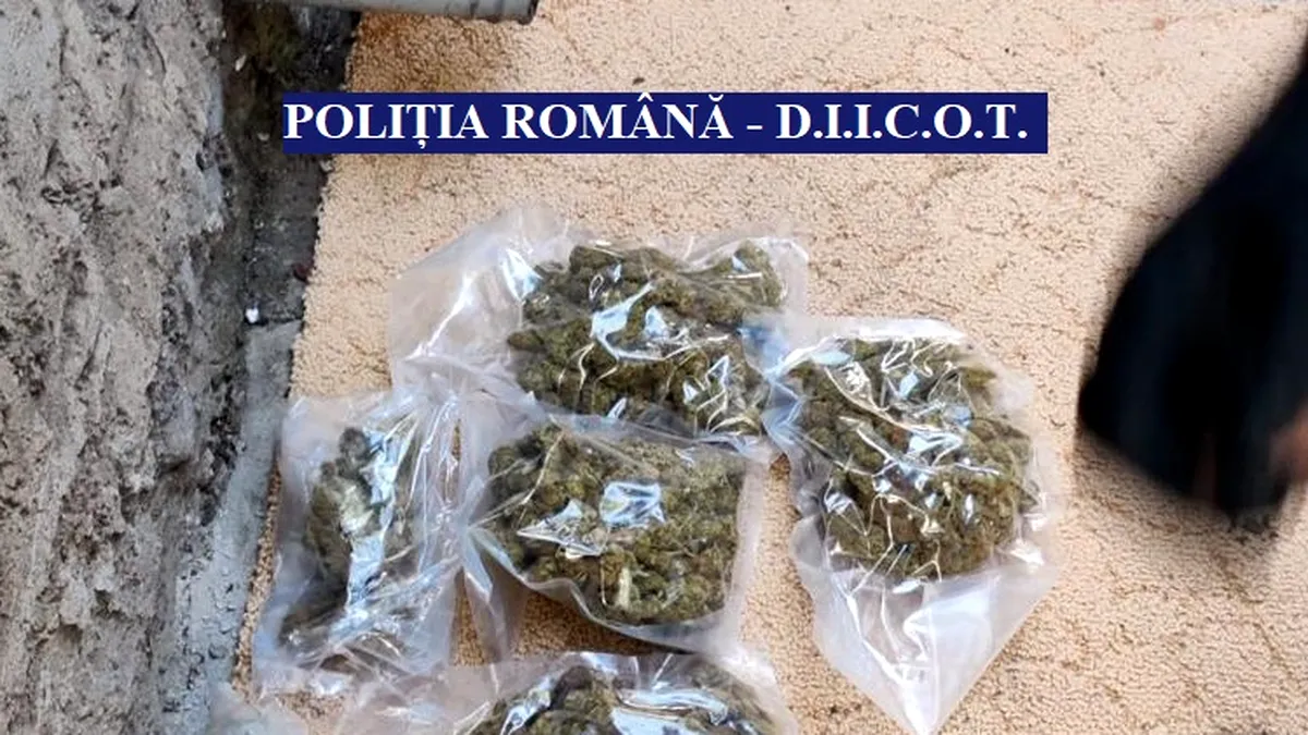 Percheziții în Constanța și în localitatea Corbu. Poliția a ridicat droguri și o sumă importantă de bani