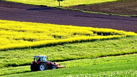 Salvați de agricultură: producții bune și foarte bune la recoltele de toamnă și primăvară