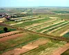 Judeţul din România în care s-au înregistrat cele mai multe tranzacţii pe piaţa terenurilor agricole
