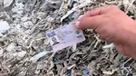 EXCLUSIV- Misterul de la Prefectura Vaslui: „90% dintre permisele găsite sunt din Vaslui”, arată ONG Garda Națională de Mediu din R. Moldova