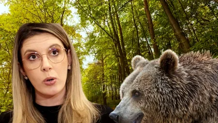 Jaf uriaș la Mediu. Diana Buzoianu livrează garduri electrice împotriva urșilor, la prețuri de șase ori mai mari