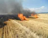 Campanie de identificare a incendiatorilor de vegetație