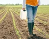 Control total asupra pesticidelor: Guvernul adoptă astăzi reguli stricte pentru sănătatea românilor