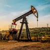Petrolul s-a prăbușit, pompa românească se face că n-a auzit