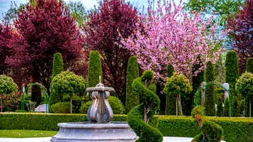 „Toscana din Ardeal”: grădina botanică prin care s-a adus Italia în România