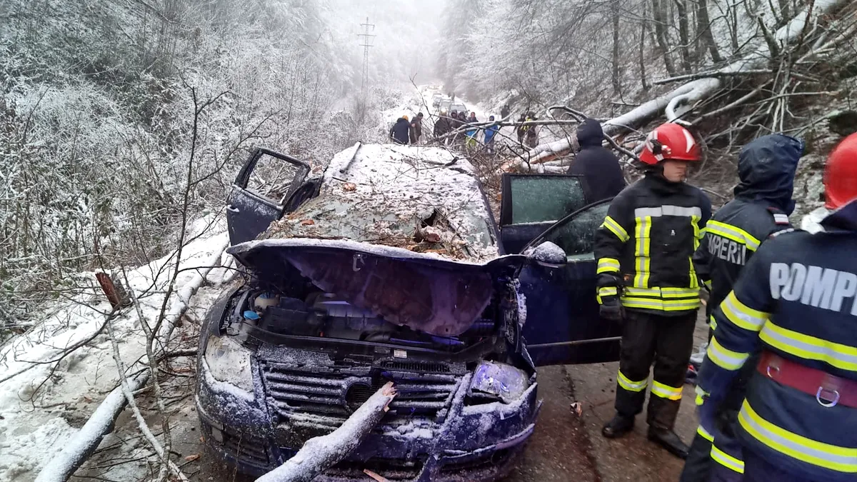 Adolescent mort după ce un copac s-a prăbușit peste mașina în care călătorea