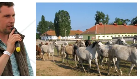 Barna Tanczos vrea ca toate hergheliile din România să treacă sub controlul UDMR