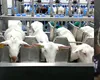 Fermierul Dănuț Andruș din Botoșani își scoate la vânzare producția de lapte și animalele din cauza concurenței neloiale