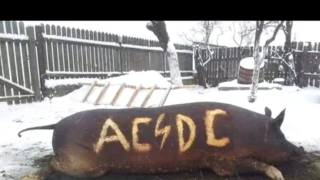 Povestea porcului de Crăciun, spusă în Canada