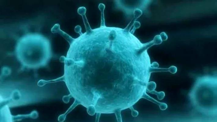 Experiment revoluționar. Un virus a fost creat de la zero de inteligența artificială