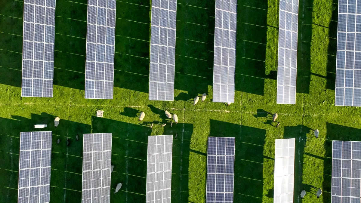 Un magnat român face echipă cu un oligarh ucrainean. Vor să construiască un parc solar în valoare de 40 de milioane de euro