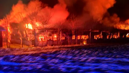 Iadul porcilor! 5.000 de animale au murit într-un incendiu la o fermă din județul Suceava