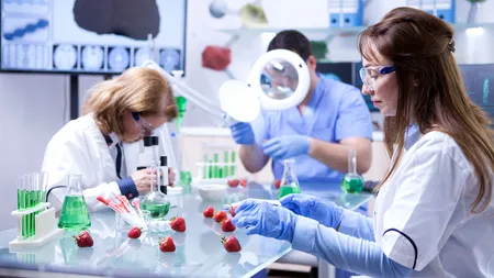 Pâinea cu gust de friptură și berea cu extract din coajă de vinete, inventate de studenții din Galați