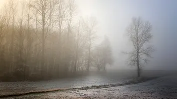 Ceață densă și polei: Cod galben nowcasting în 27 de județe și București