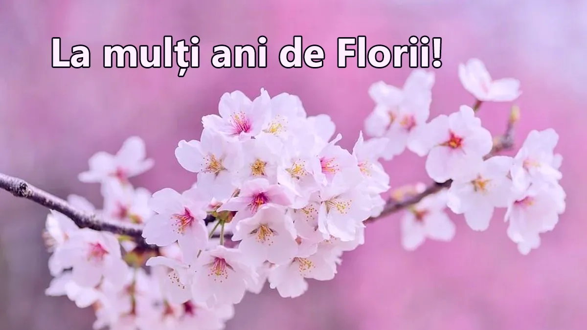 Mesaje de Florii. Urări și felicitări frumoase pentru sărbătoriții zilei