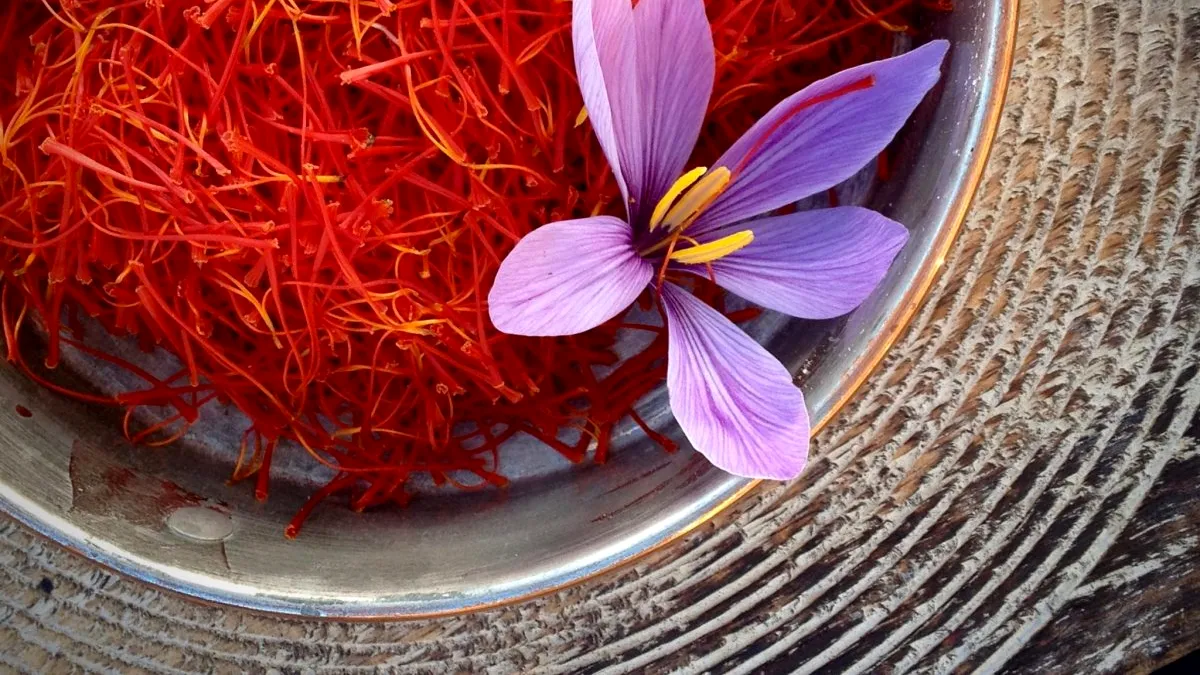 Ce gust are luxul? „Aurul roșu” se cultivă acum și într-un sat din România