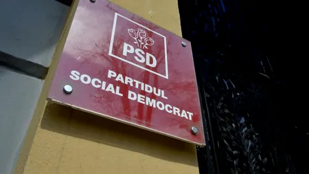 Angajaţii INS protestează în faţa sediului PSD