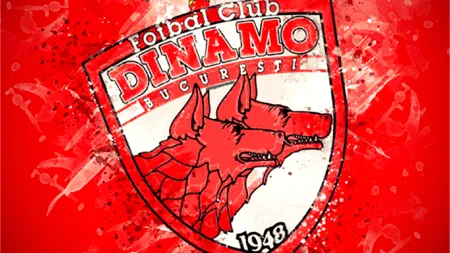 Dinamo 1948 cere insolvența unei companii cu 100 de angajați