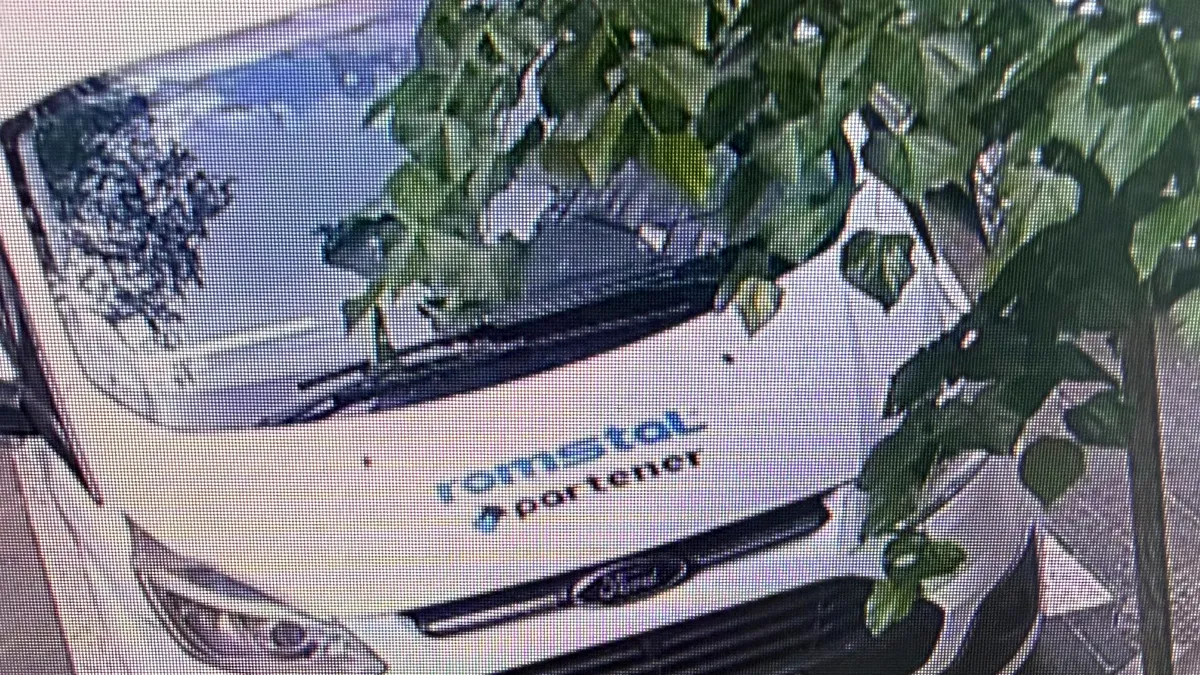 ,,Filiera italiana” și țepele financiare ale ,,partenerilor ROMSTAL” - Anchetă