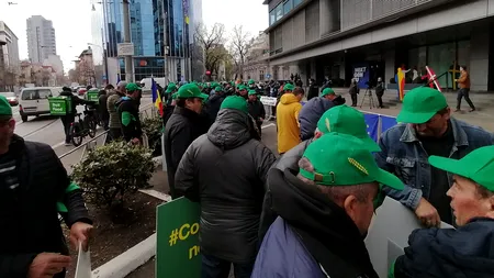 Agricultorii români protestează pe 23 mai, la Bruxelles, alături de fermieri din alte cinci țări