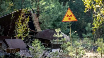 Descoperire uluitoare la Cernobîl. O ciupercă pune la încercare biologia