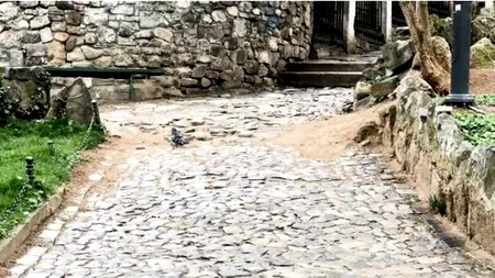 Piedone a publicat Scrisoarea Bucureștiului uitat, plictisit și murdar. Clip emoționant pe Facebook