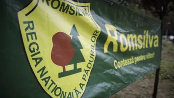 Romsilva lansează selecția pentru un director general provizoriu pe 5 luni. Când se depun candidaturile