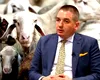 Adio, miel de Paște! Șeful ANSVSA, Alexandru Bociu, a blocat, până în iunie, orice comercializare și export de oi și capre din România