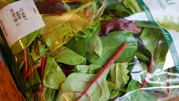 România în fruntea clasamentului european privind salatele contaminate cu un parazit periculos