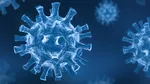 Ne paşte o nouă pandemie? Un virus rar, cu mortalitate uriaşă, stârneşte îngrijorare