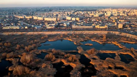 Apus în Parcul Natural Văcărești