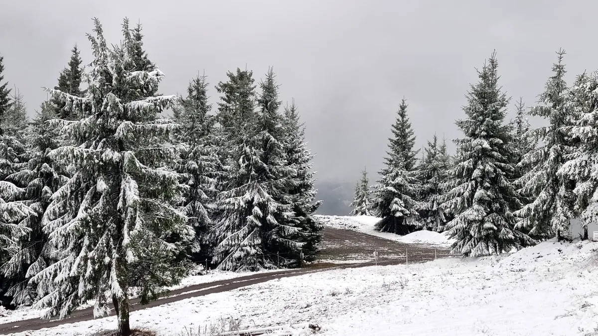 Imagini de poveste de prin țară. Ninge în Munții Parâng și în Poiana Brașov, s-a depus strat de zăpadă. Pe Transalpina s-a intervenit cu utilaje de deszăpezire