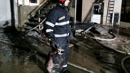 Incendiu violent la o hală de construcții din Botoșani. 1,5 tone de ulei auto au ars ca o torță (VIDEO)