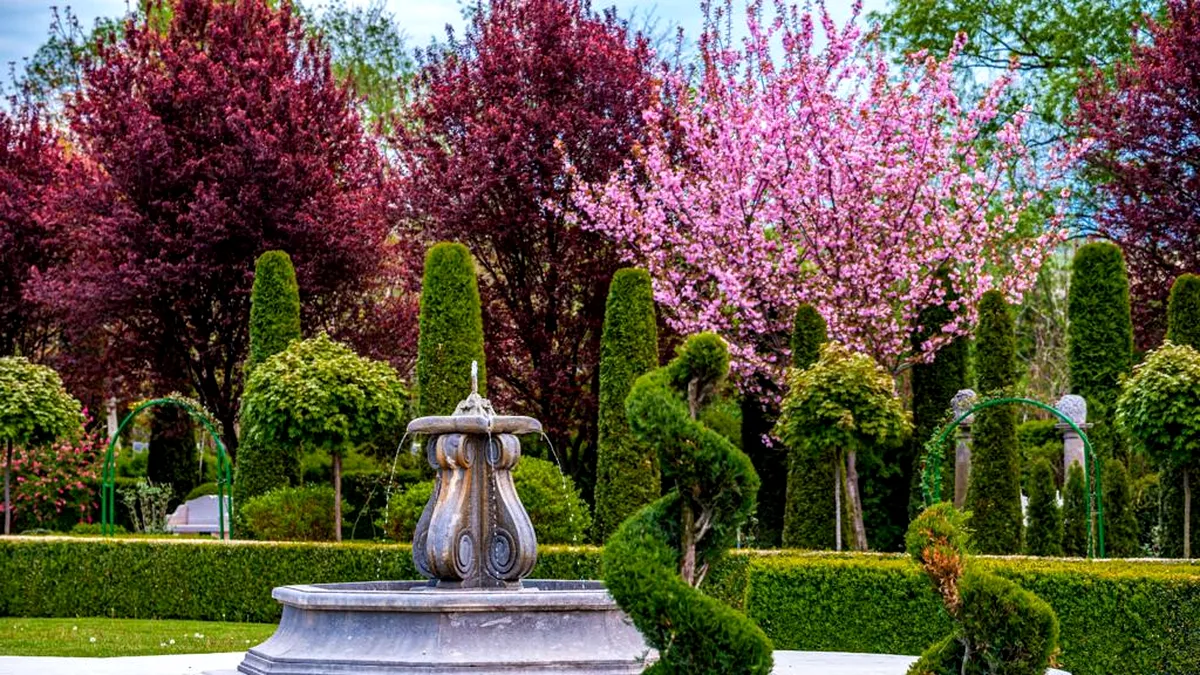 „Toscana din Ardeal”: grădina botanică prin care s-a adus Italia în România