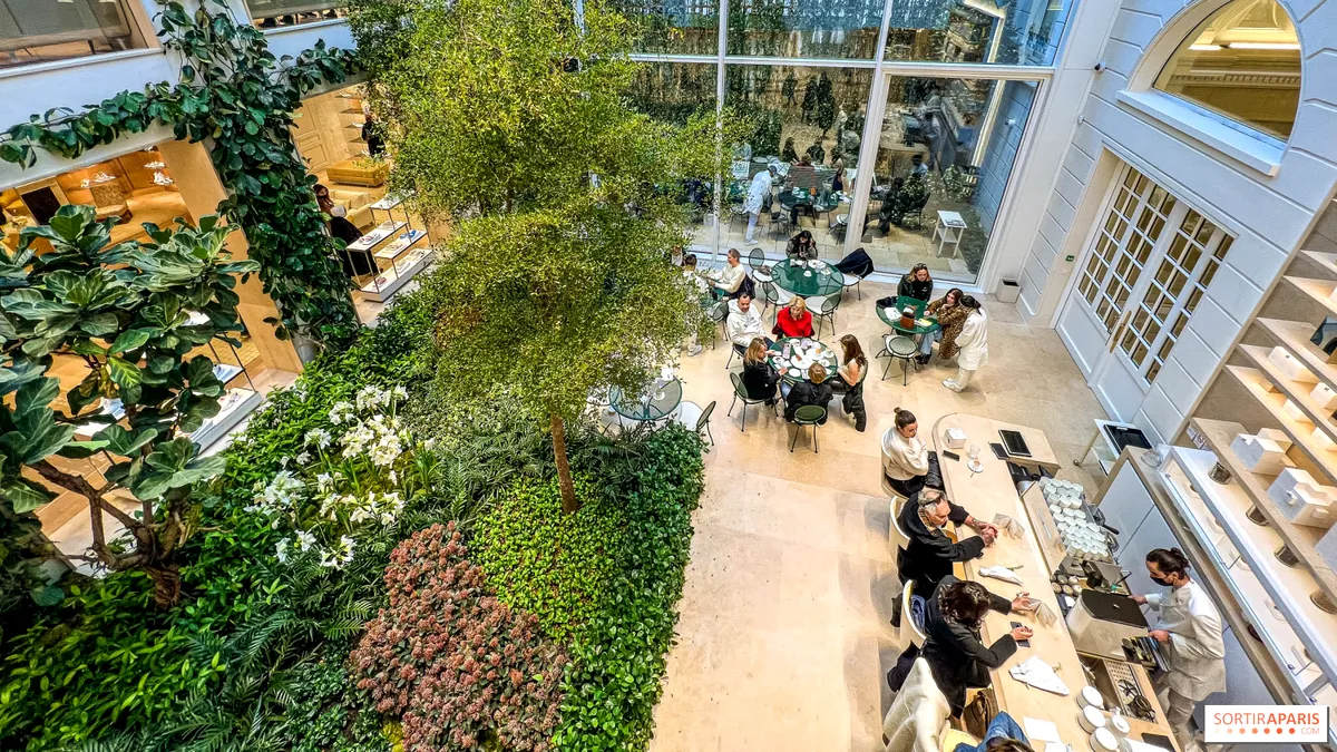 Galerie de artă, patiserie, apartament VIP: Cum s-a reinventat ADN-ul Dior (VIDEO)
