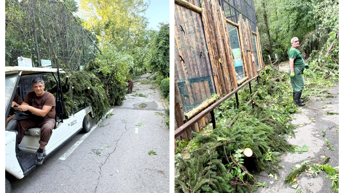 Grădina Zoologică din București, închisă temporar din cauza furtunii