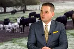 Șeful ANSVSA, Alexandru Bociu, acuzat de luare de mită de către DNA