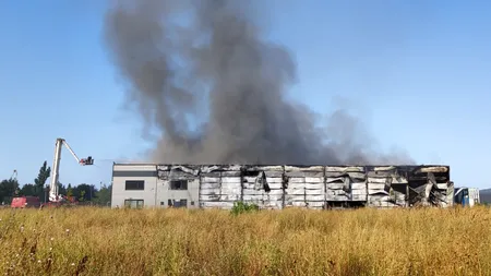 Incendiu la hala Mogoșoaia: Intervin 15 autospeciale de stingere / Mesaj Ro-Alert pentru informarea populatiei